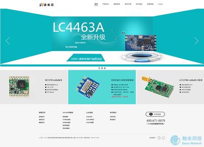 凌承芯-深圳企業網站建設案例